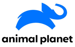 Animal Planet канал смотреть онлайн трансляция в прямом эфире